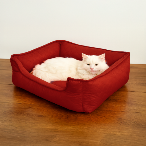 Cama para Mascota Tommy